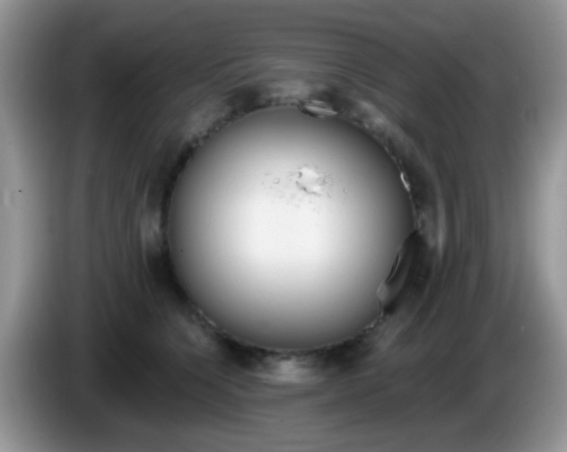 X0000086250564200704121954
