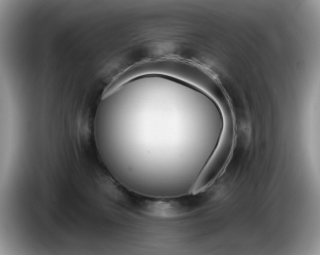 X0000086250566200704121954
