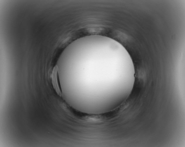 X0000086250567200704121954