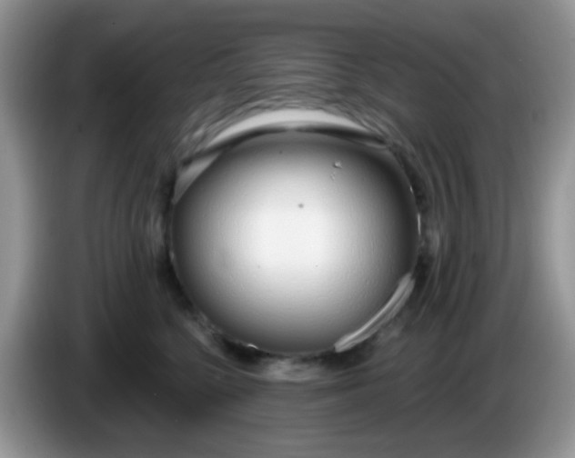 X0000086250568200704121954