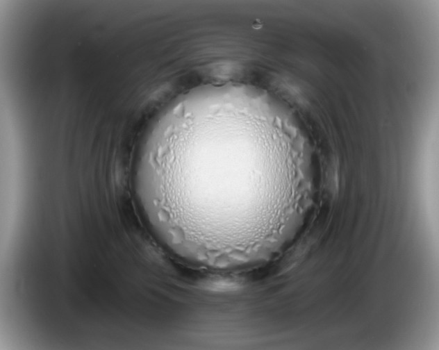 X0000086250569200704121954