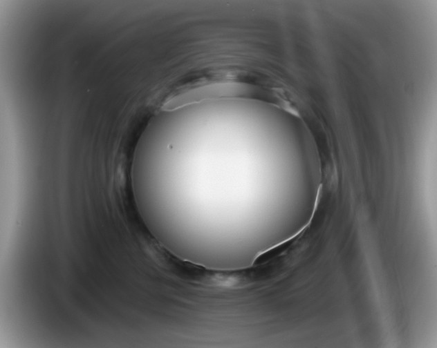 X0000086250570200704121954