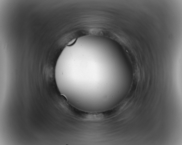 X0000086250571200704121954