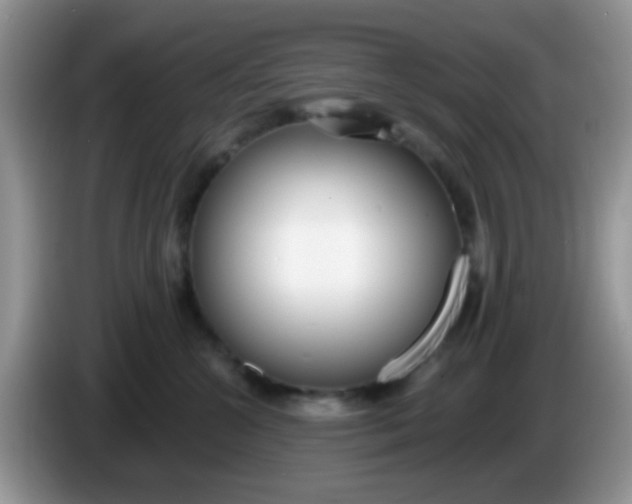 X0000086250572200704121954