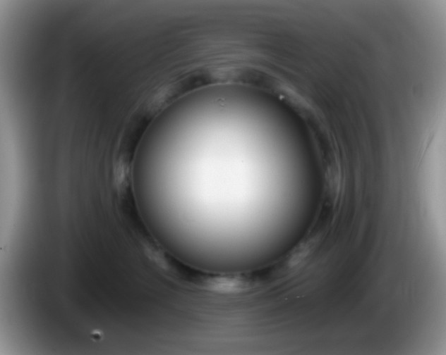 X0000086250574200704121954