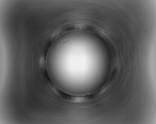X0000086250575200704121954