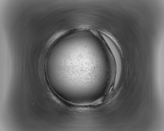 X0000086250577200704121953