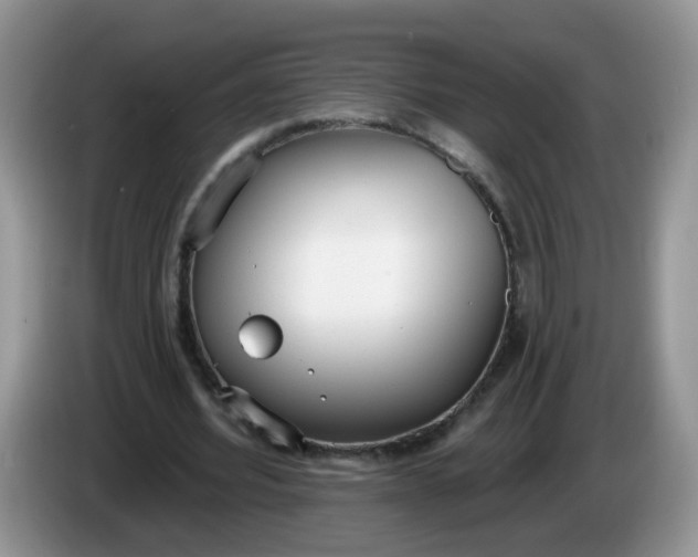 X0000086250580200704121953