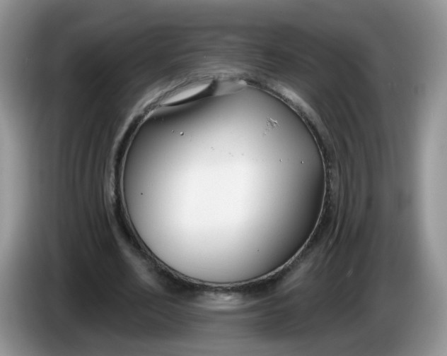 X0000086250582200704121953