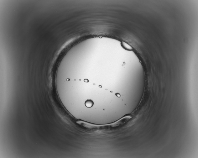 X0000086250584200704121953