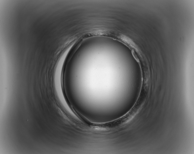 X0000086250585200704121953