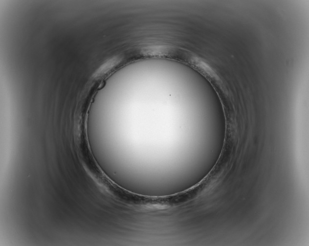 X0000086250586200704121953