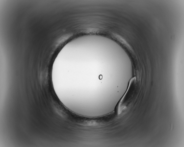 X0000086250588200704121953