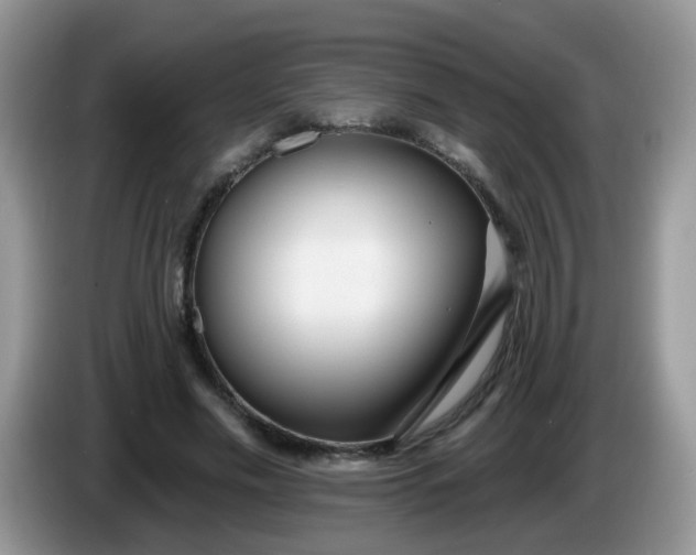 X0000086250589200704121953