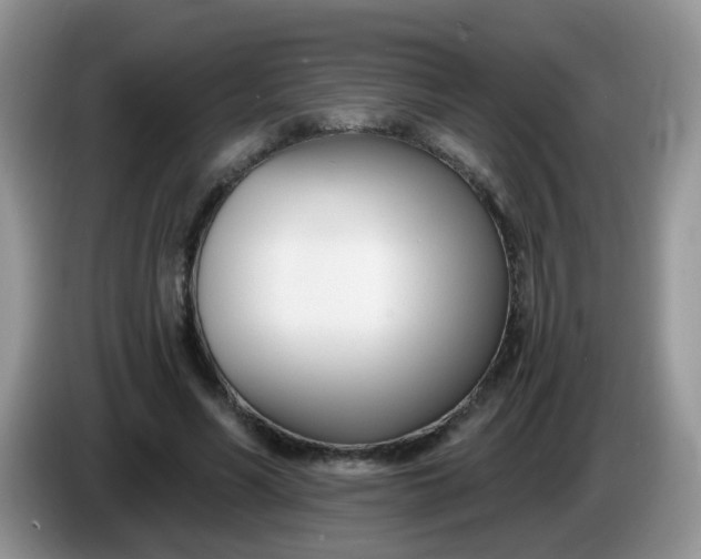 X0000086250590200704121953