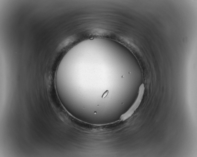 X0000086250591200704121953