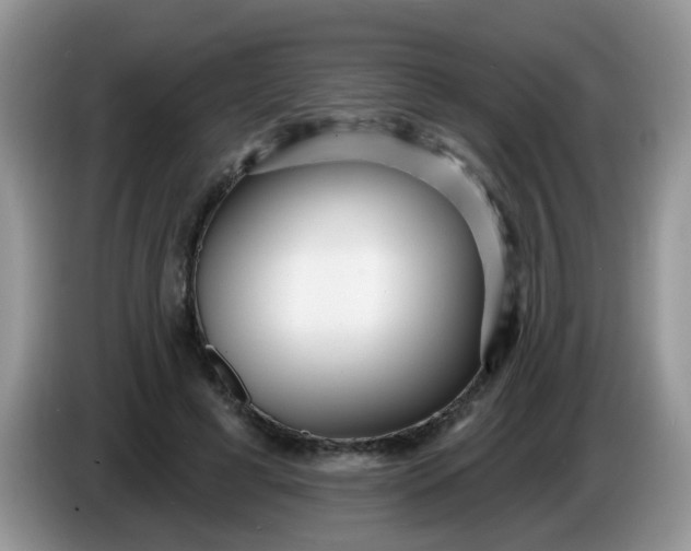 X0000086250593200704121953