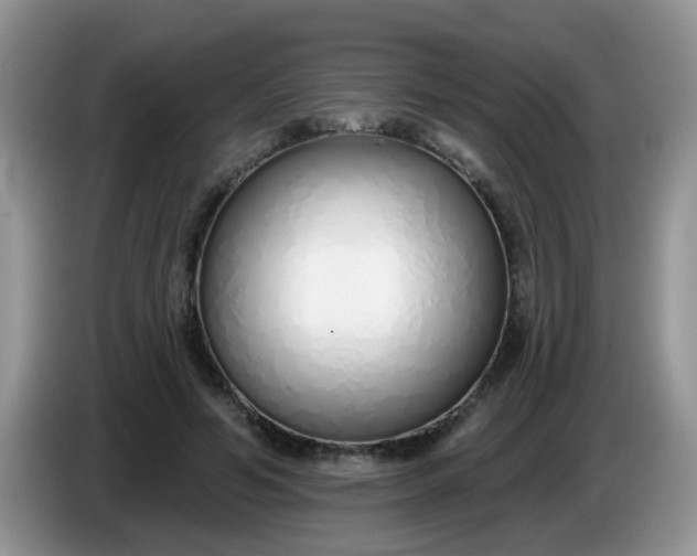 X0000086250594200704121953