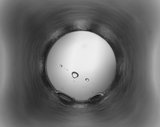 X0000086250595200704121953