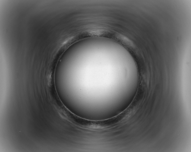 X0000086250596200704121953