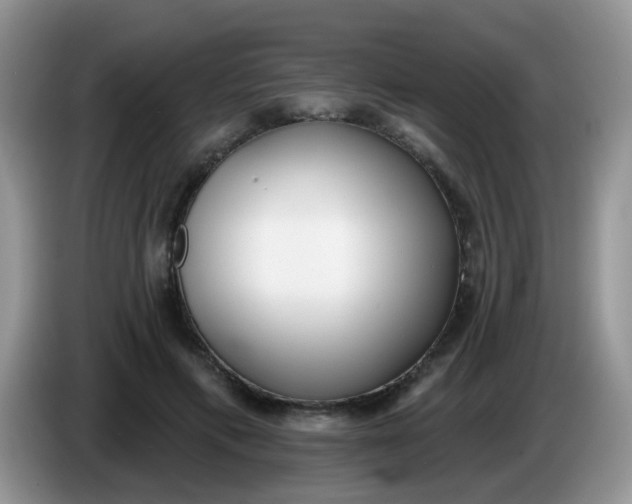 X0000086250597200704121953