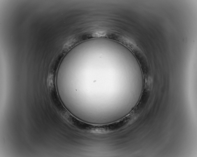 X0000086250598200704121953