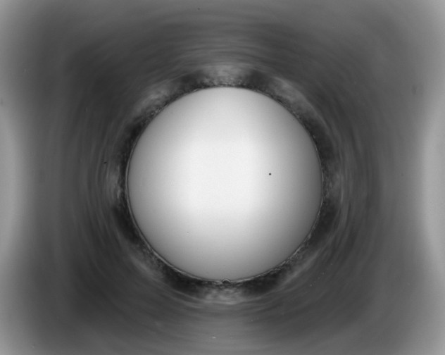 X0000086250599200704121953