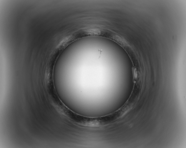 X0000086250600200704121953