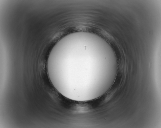 X0000086250603200704121953