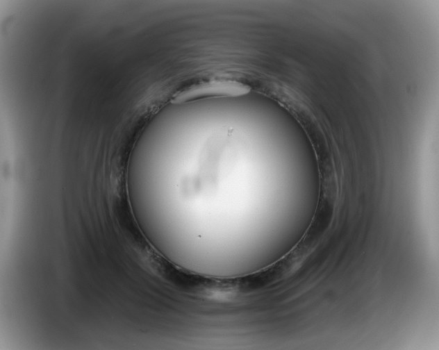 X0000086250604200704121953