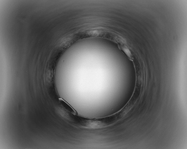 X0000086250605200704121953