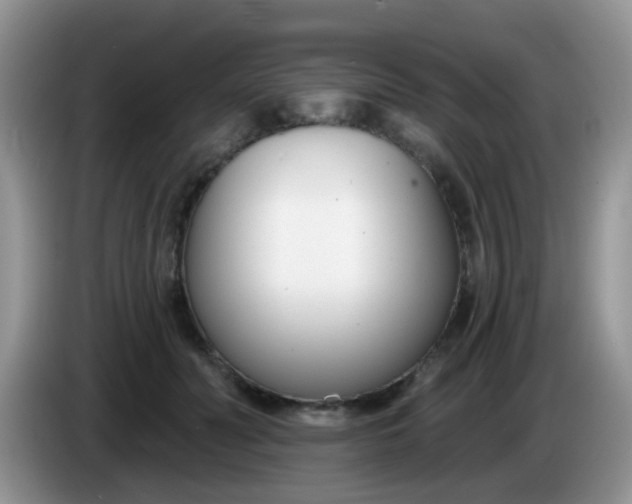 X0000086250606200704121953