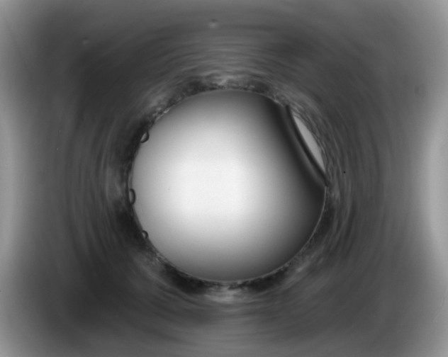 X0000086250607200704121953