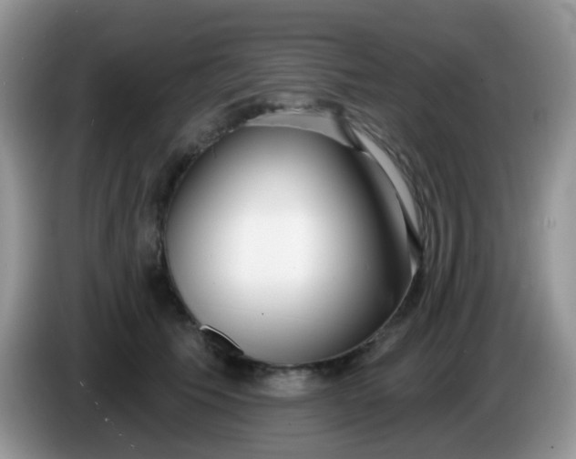 X0000086250609200704121953