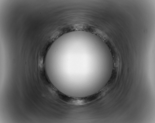 X0000086250610200704121953