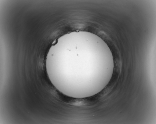 X0000086250612200704121953
