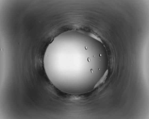 X0000086250613200704121953
