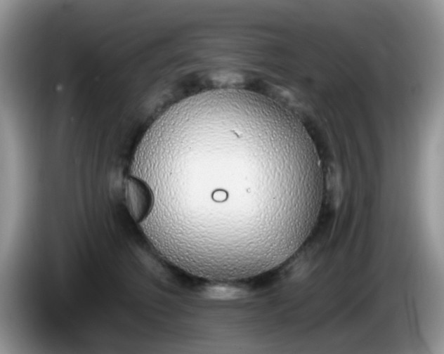 X0000086250614200704121953