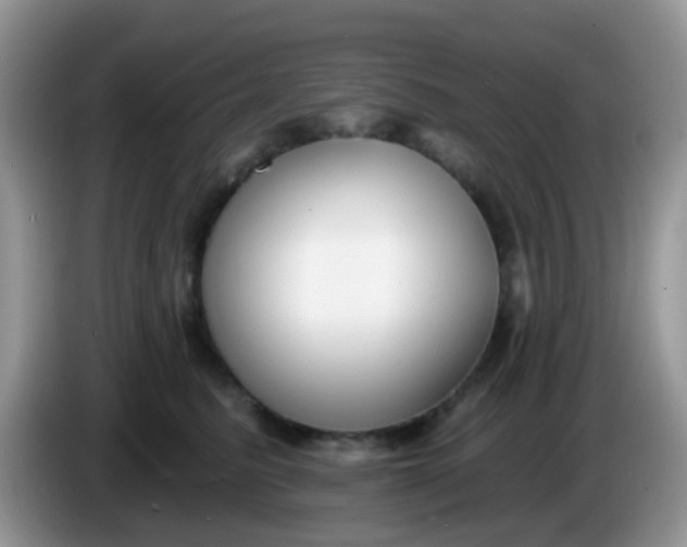 X0000086250615200704121953