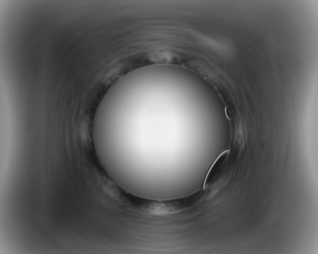 X0000086250616200704121953