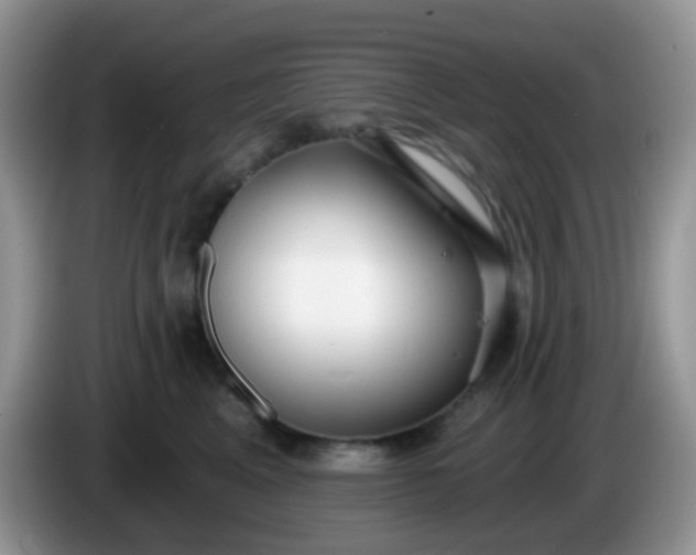 X0000086250617200704121953