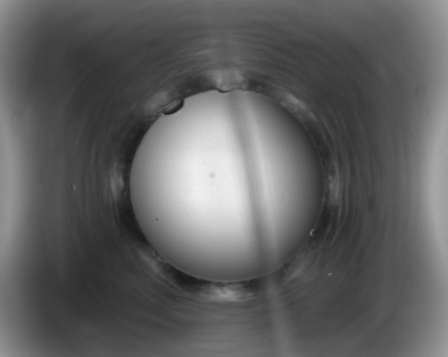 X0000086250618200704121953