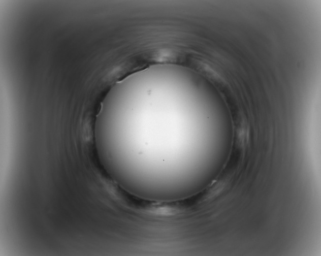 X0000086250620200704121953