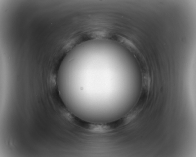 X0000086250621200704121953