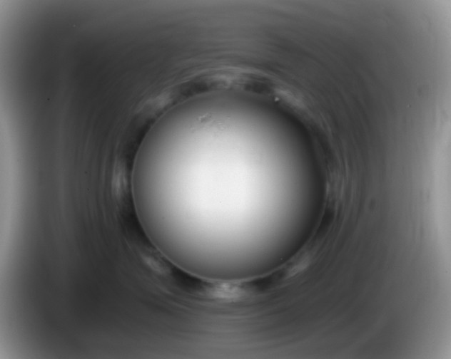 X0000086250623200704121953