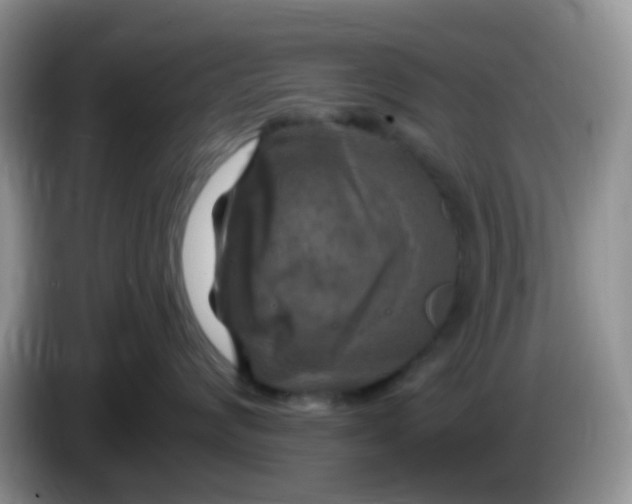 X0000086250624200704121953