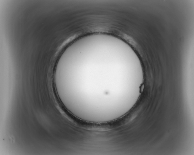 X0000086250625200704121952