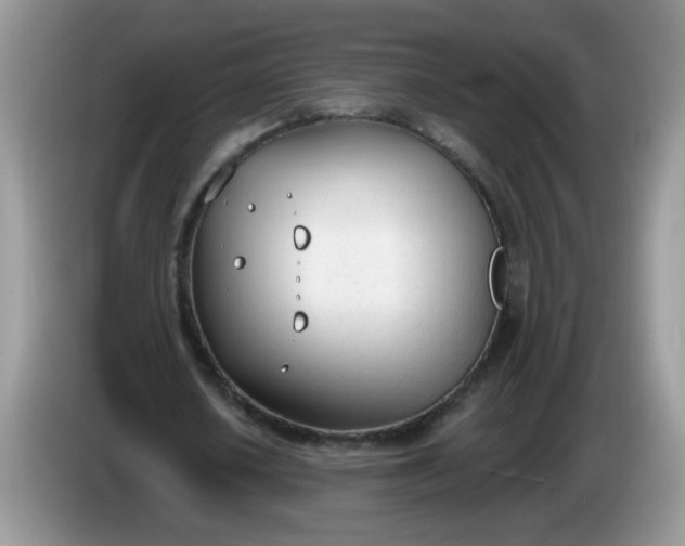 X0000086250626200704121952