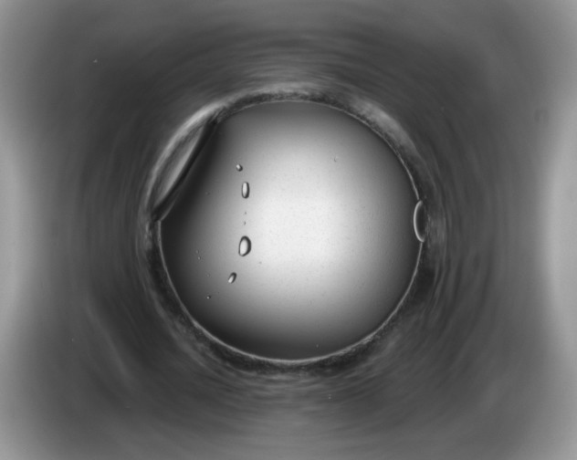 X0000086250628200704121952