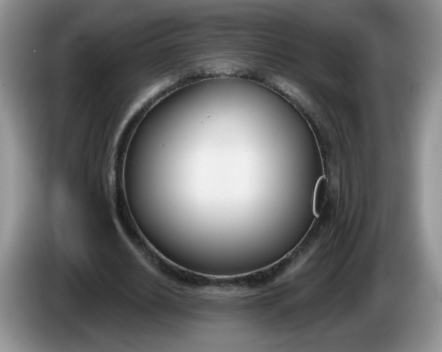 X0000086250630200704121952